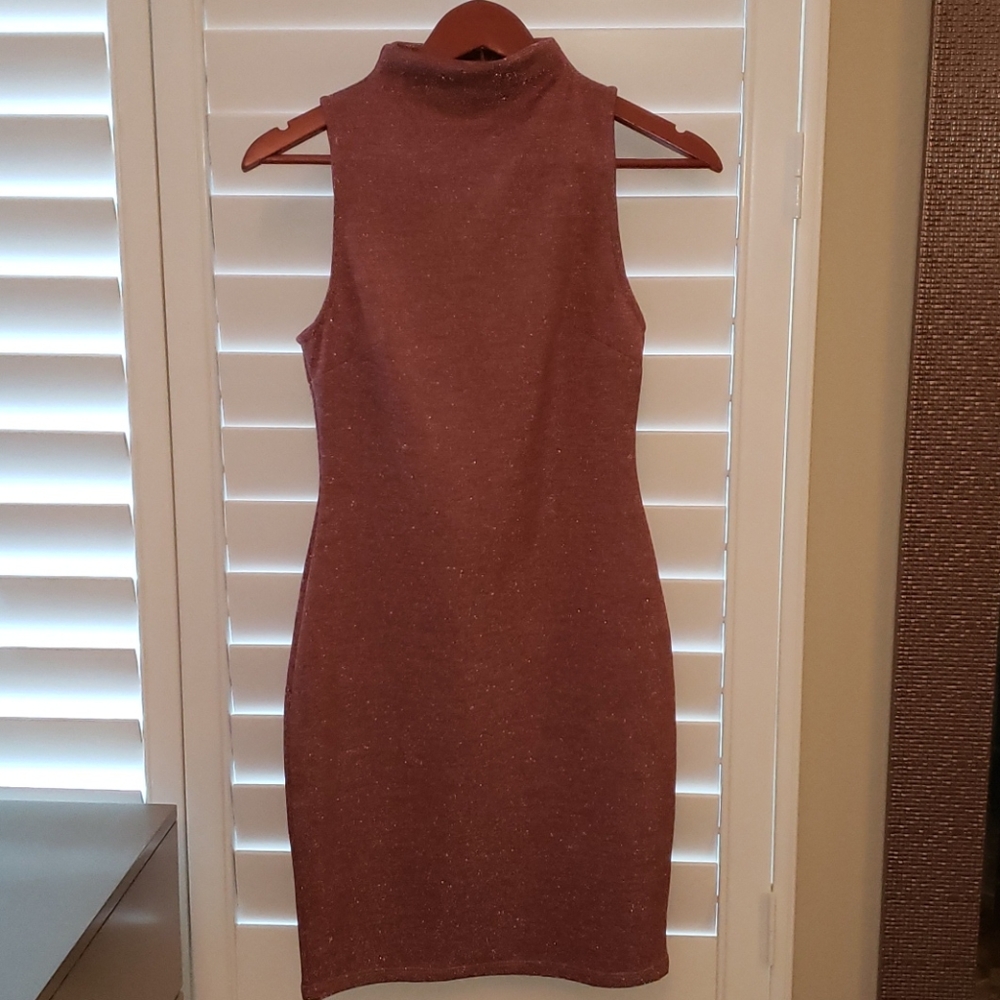 Windsor Store Mauve Turtleneck Dress Small